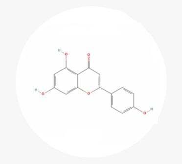 Apigenin