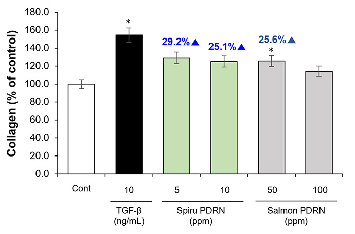 Spiru PDRN의 주름 개선 효과