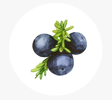 시로미캘러스배양추출물