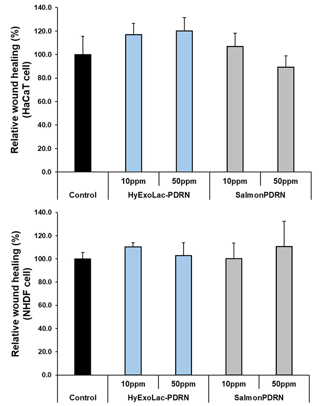 HyExoLac-PDRN의 재생 효과