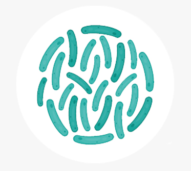 락토바실러스발효용해물