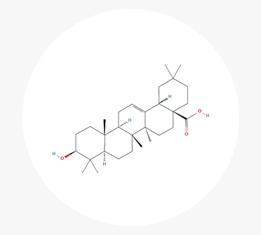 Oleanolic Acid