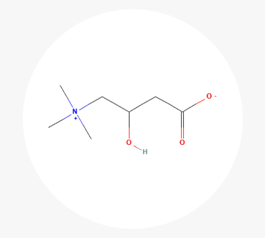 Carnitine