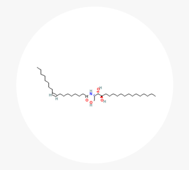 세라마이드엔피