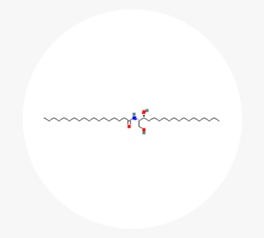 세라마이드엔에스