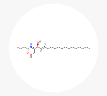 세라마이드에이에스