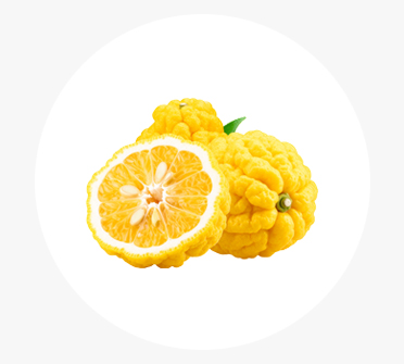 유자