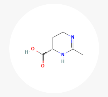 엑토인, 마트린