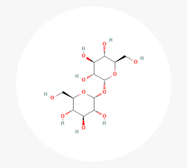 자일리톨, 트레할로스, 폴리글루타믹애씨드