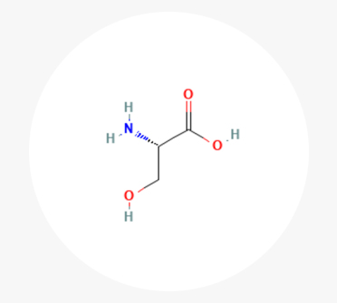 세린, 히스티딘
