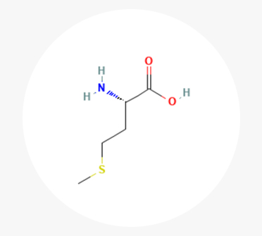 메티오닌, 라이신, 프롤린, 발린, 히스티딘