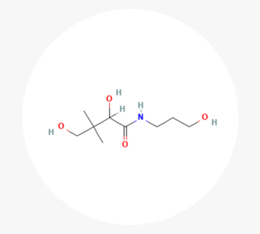 판테놀, 비오틴