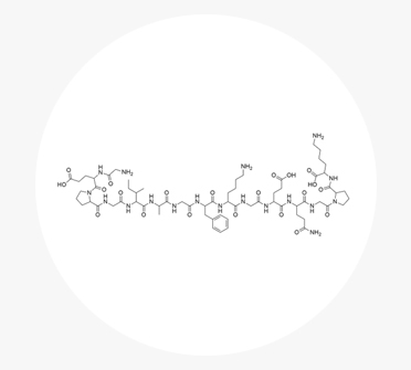하이드롤라이즈드콜라겐, 프로콜라겐 등 7종