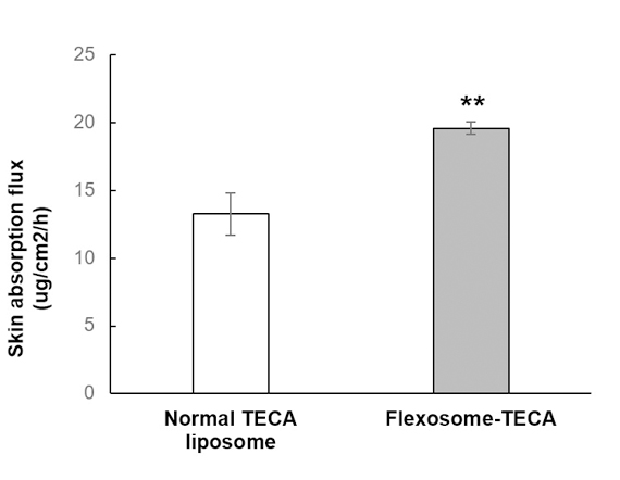 Flexosome-TECA의 피부 침투력