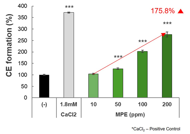 Cornified Envelope (CE) 형성 촉진